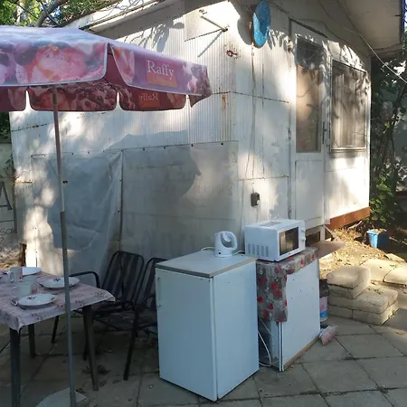 златна рибка