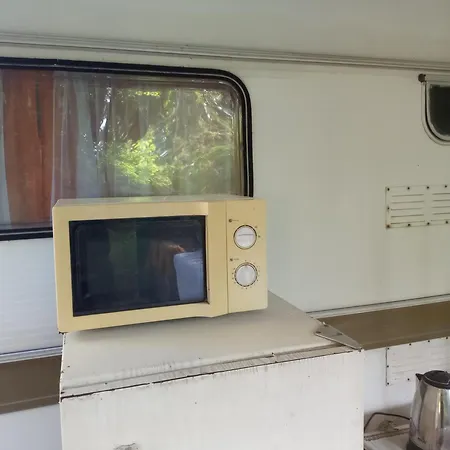 златна рибка Апартаменты