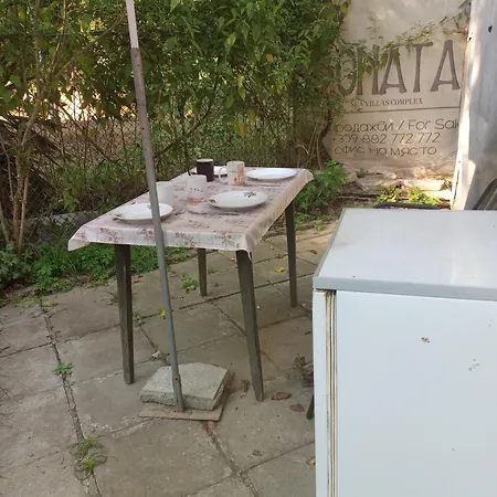 златна рибка *